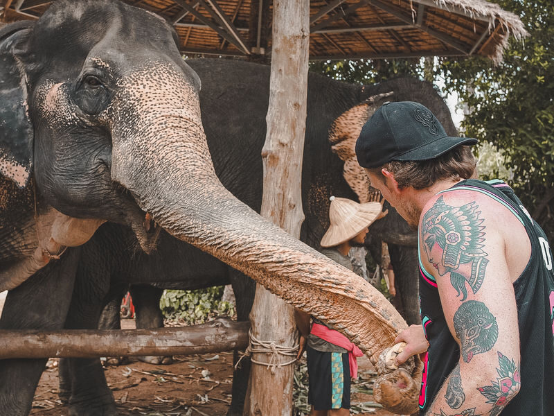 Aonang Elephant Sanctuary Experience - Mud spa, then a wash in the water