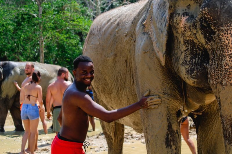 Aonang Elephant Sanctuary Experience - Group size, facilities, and the less polished moments