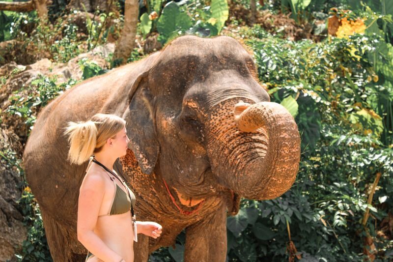 Aonang Elephant Sanctuary Experience - What to pack and who will enjoy it
