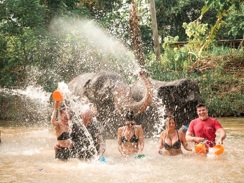 Aonang Elephant Sanctuary Experience - Is Ao Nang Elephant Sanctuary worth booking?