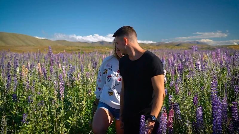 Aoraki Mount Cook & Lake Tekapo One-Day Tour from Christchurch - The useful details at a glance