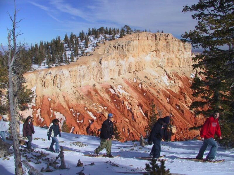 Aosta Valley: Snowshoe Lessons in Enchanted Winter Forests - Good To Know