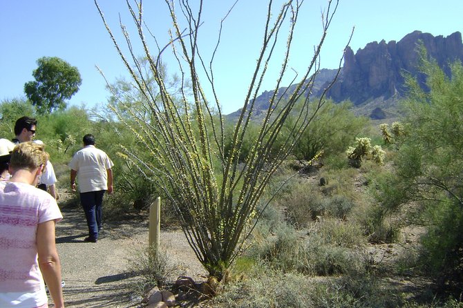 Apache Trail and Dolly Steamboat Van Tour - The Sum Up