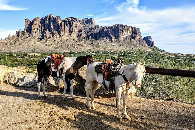Apache Trail Tour: Superstition Mountains, Ghost Town, Cruise  - Phoenix - Scenic Views and Wildlife