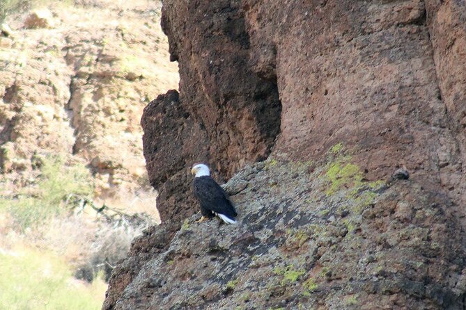 Apache Trail Tour: Superstition Mountains, Ghost Town, Cruise  - Phoenix - Directions and Itinerary