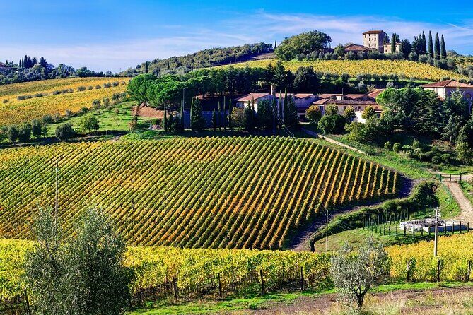 Ape Calessino Tour through Tuscan Landscapes - FAQ