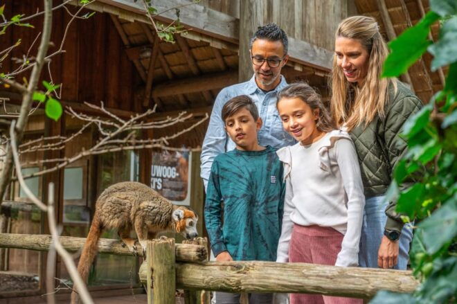 Apeldoorn: Apenheul Zoo Entry Ticket - Conservation Efforts