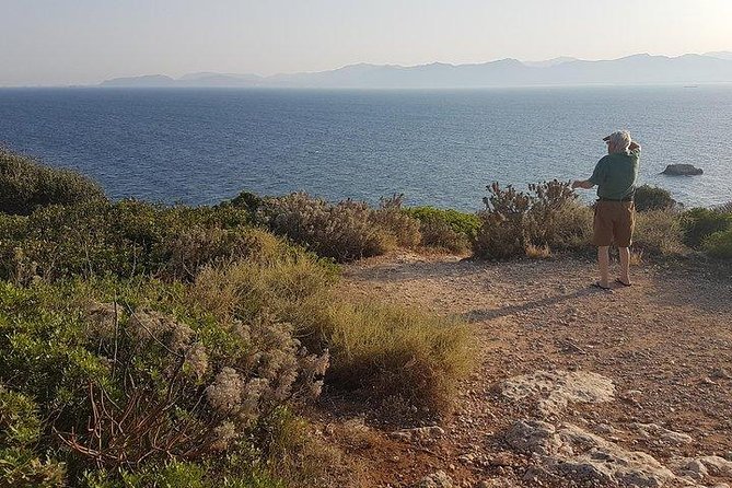 Apelisetta Tuk Tuk: Cagliari Tour - Traveler Photos
