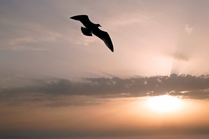 Aperitif at Sunset - Pricing and Options