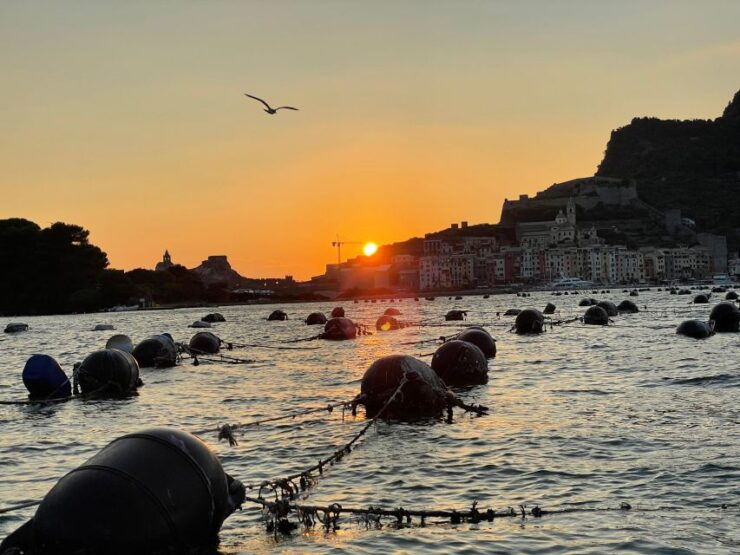 Aperitif at Sunset - Good To Know