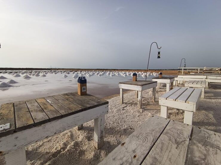 Aperitif in a Old Tub of Salt in Marsala - Experience Highlights