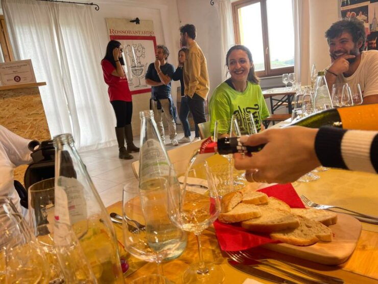 Aperitif in the Vineyard - Wine Tasting and Delicacies