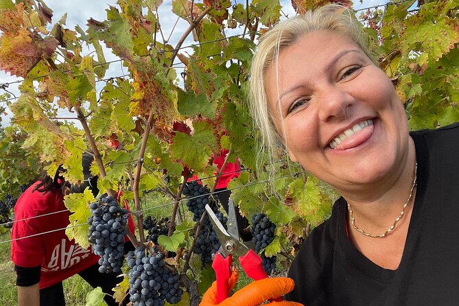 Aperitif in the Vineyard With Truffles, Wines and Chef Stefano - Event Details