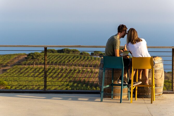 Aperitif on the Roof-Top Terrace at Tenuta Delle Ripalte - Experience Details