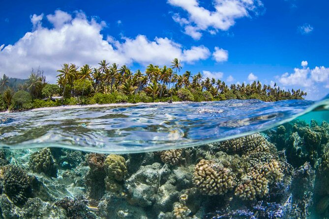 Apetahi Day Trip in a Canoe Around Raiatea - Canoeing Adventure on Raiatea