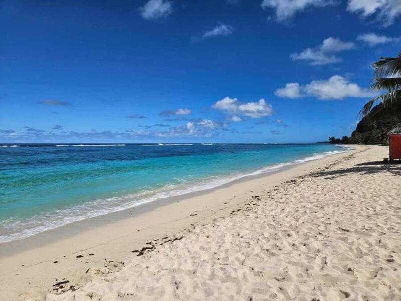 Apia Port: Cruise Guests Shore Excursion - Good To Know