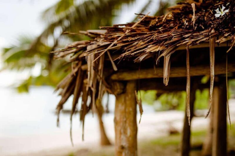 Apia Port: Cruise Guests Shore Excursion - Who Is This Tour Best For?