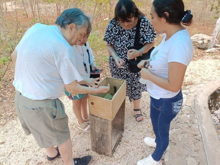Apiary Tour (Bee Tour) Also Archeological Site and Salt Pond - Good To Know