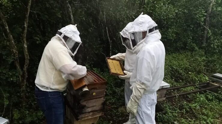 Apiary Tour (Bee Tour) Also Archeological Site and Salt Pond - Pricing and Duration