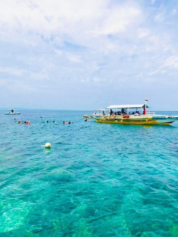 Apo Island Day Tour: Snorkeling & Sea Turtle Encounters - What the seven-hour schedule means