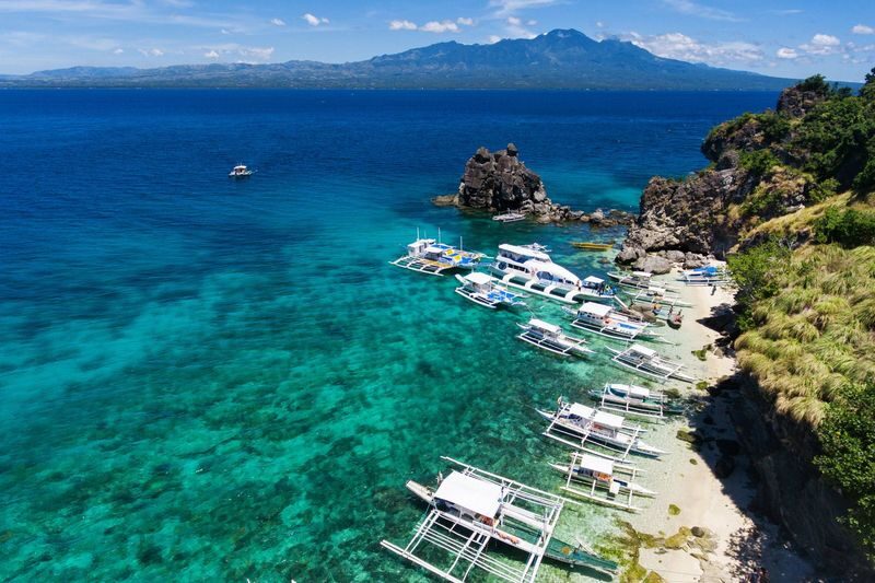 Apo Island Day Tour: Snorkeling & Sea Turtle Encounters - Group size changes the price