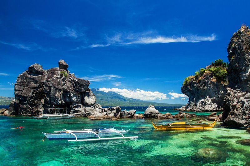 Apo Island Day Tour: Snorkeling & Sea Turtle Encounters - Reliability deserves a quick check