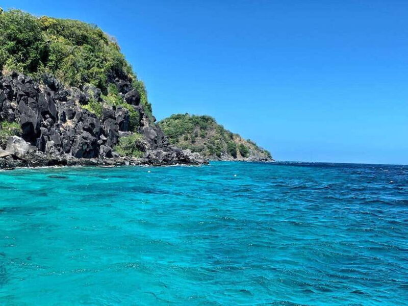 Apo Island Wonders: Snorkel with Sea Turtles in Dumaguete - An In-Depth Look at Apo Island Wonders