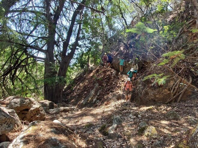 Apoala Canyon, Ponds and Waterfalls 2 Days Hike Trip - Participant Restrictions