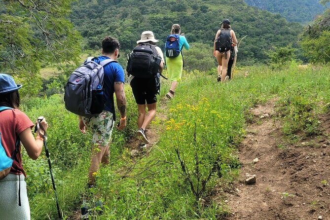 Apoala Magic Waterfalls Hike and Swim Adventure - The Sum Up