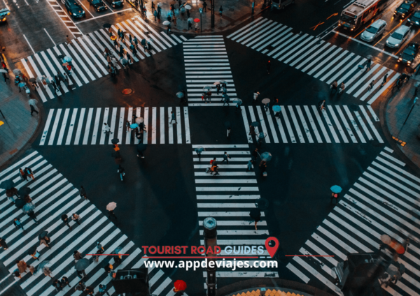 App Audio Guide Through the Japanese Capital Tokyo - Unique Selling Points