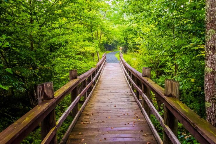 Appalachian Mountain Self-Guided Driving Audio Tour Bundle - Audio Guide and App Details