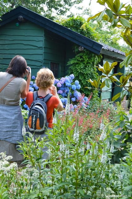 Appeltern: Flower Park Appeltern Entry Ticket - Seasonal Experiences