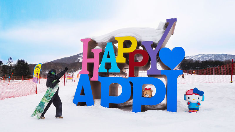 Appi Kogen Ski Resort Private Ski Instructor Course - What to know before you book