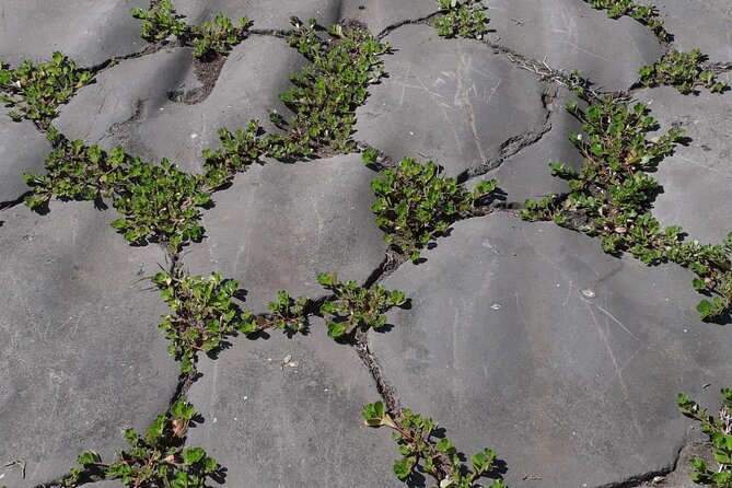 Appian Way Catacombs and Acqueducts With Lunch Included - Directions