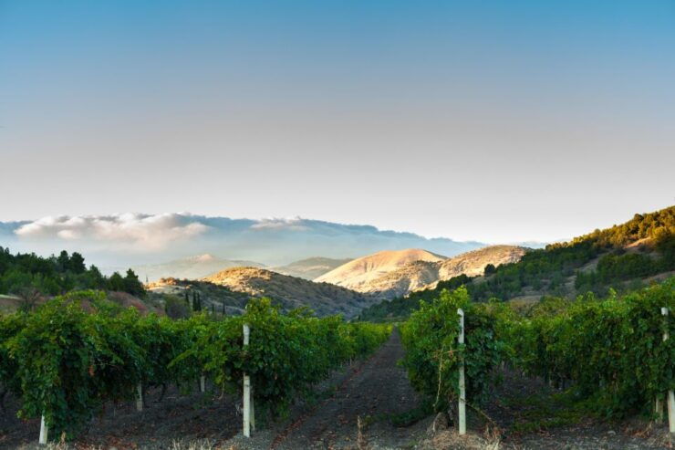 Apple Hill/Carson Road Digital Wine Tasting Passport - Pass Details