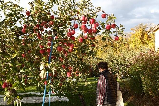 Apple Picking and Hirosaki Full Day Private Tour - Historical Landmarks and Attractions