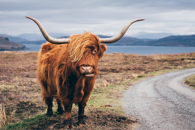 Applecross, Loch Carron & the Wild Highlands From Inverness - Additional Information