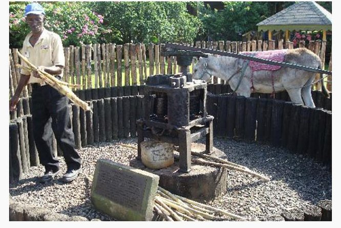 Appleton Estate Rum Private Tour - Pricing and Booking Details