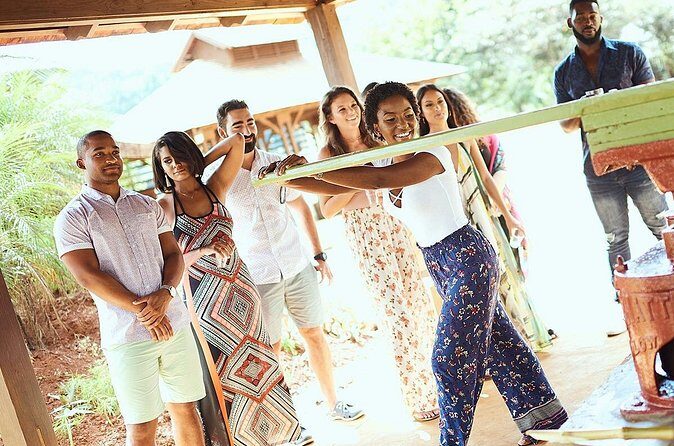 Appleton Estate Rum Tour and Tasting from Kingston - Why Choose This Tour?