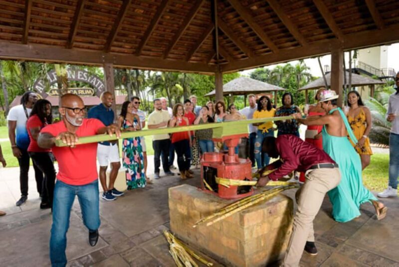 Appleton Estate Rum Tour: Full Day from Montego Bay - The Production Process: From Cane to Barrel