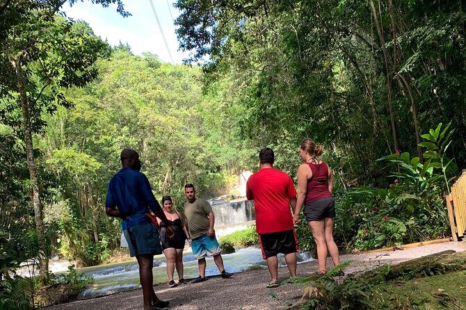 Appleton estate,YS Falls,Black River Safari,Pelican Bar(any 3of4) - An In-Depth Look at the Tour