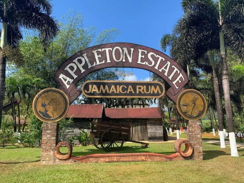 Appleton Rum Factory and Black River Safari Tour - Good To Know