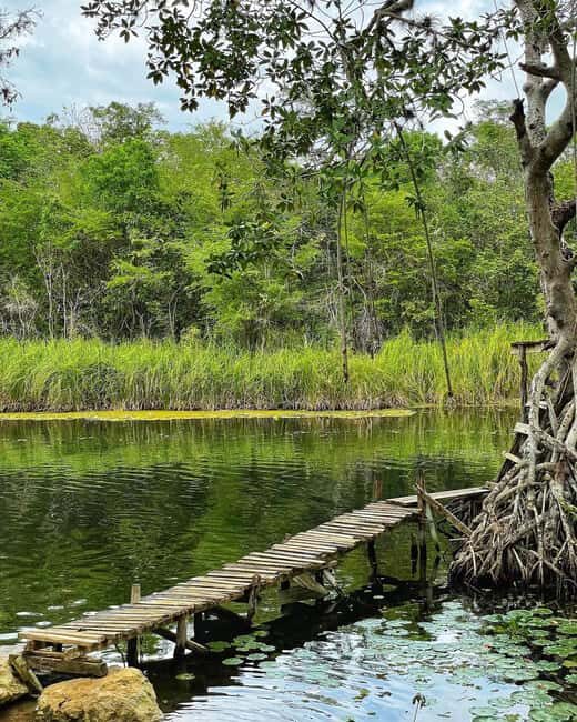 Appleton Rum Factory and Black River Safari Tour - FAQ