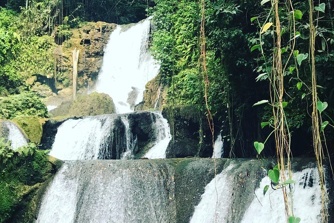 Appleton Rum Factory, Ys Falls, Black River Safari, Floyd's Pelican Bar - Wildlife Adventure at Black River Safari