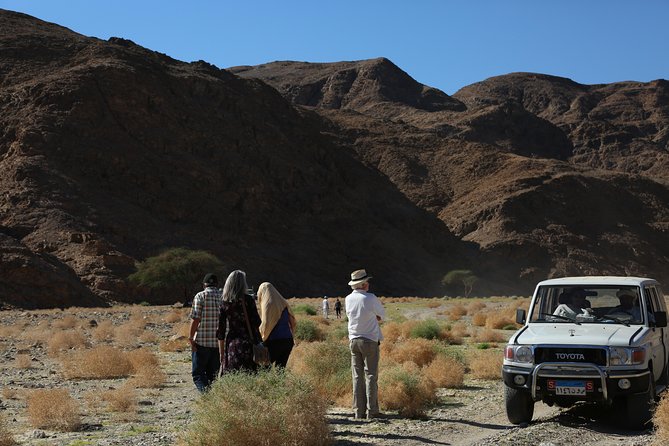 Appolonia and Qulaan Village - Wadi El Gemal - Frequently Asked Questions