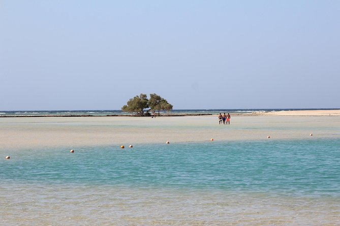 Appolonia and Qulaan Village - Wadi El Gemal - The Sum Up