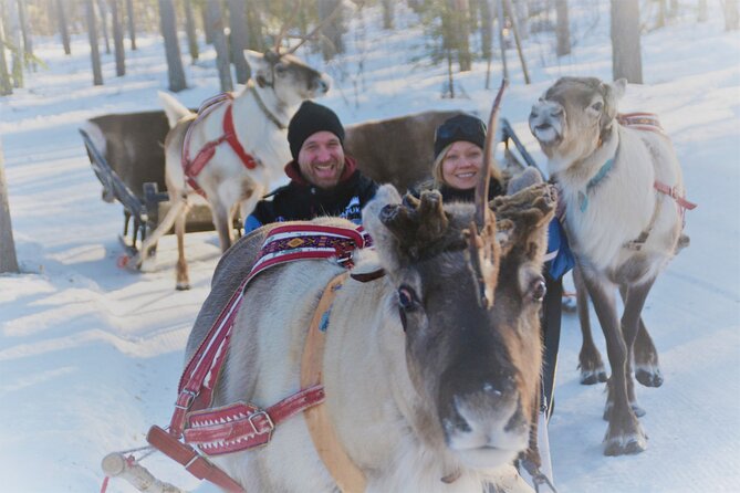 Apukka Snow and Fun, Rovaniemi - Overview and Activities