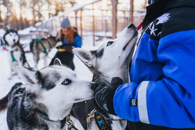 Apukka Snow and Fun, Rovaniemi - Pickup Information