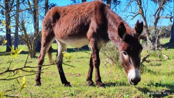 Apulia Canyon Hiking - The Sum Up