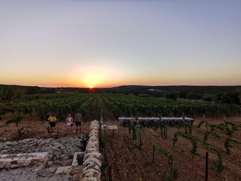 Apulia: Guided Wine Tasting with Local Appetizers - Good To Know